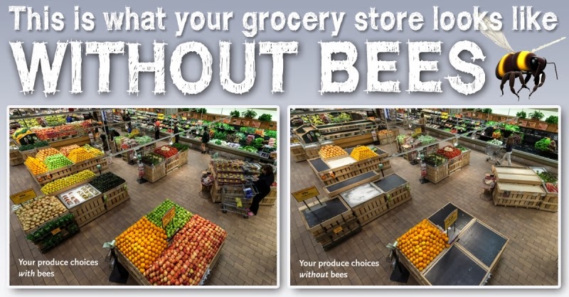 See the source image